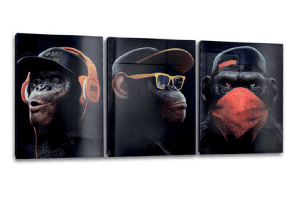 Quadro Monkey - Stampa in vetro temperato