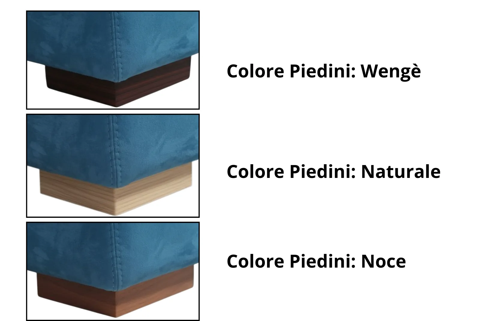 Colore piedini A. Tanc.